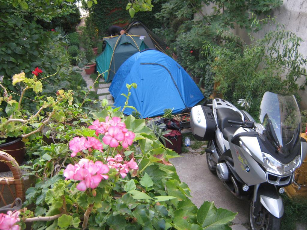 Hotel Base For Adventurers - Urban Guerrilla Negotin Exterior foto